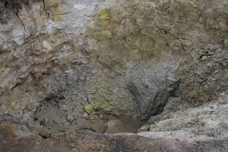 Nieuw-Zeeland 2011 - 0743